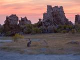 Mono Lake 004